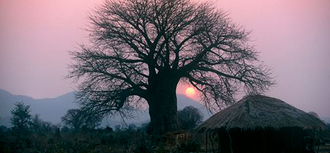 Malawi sunset